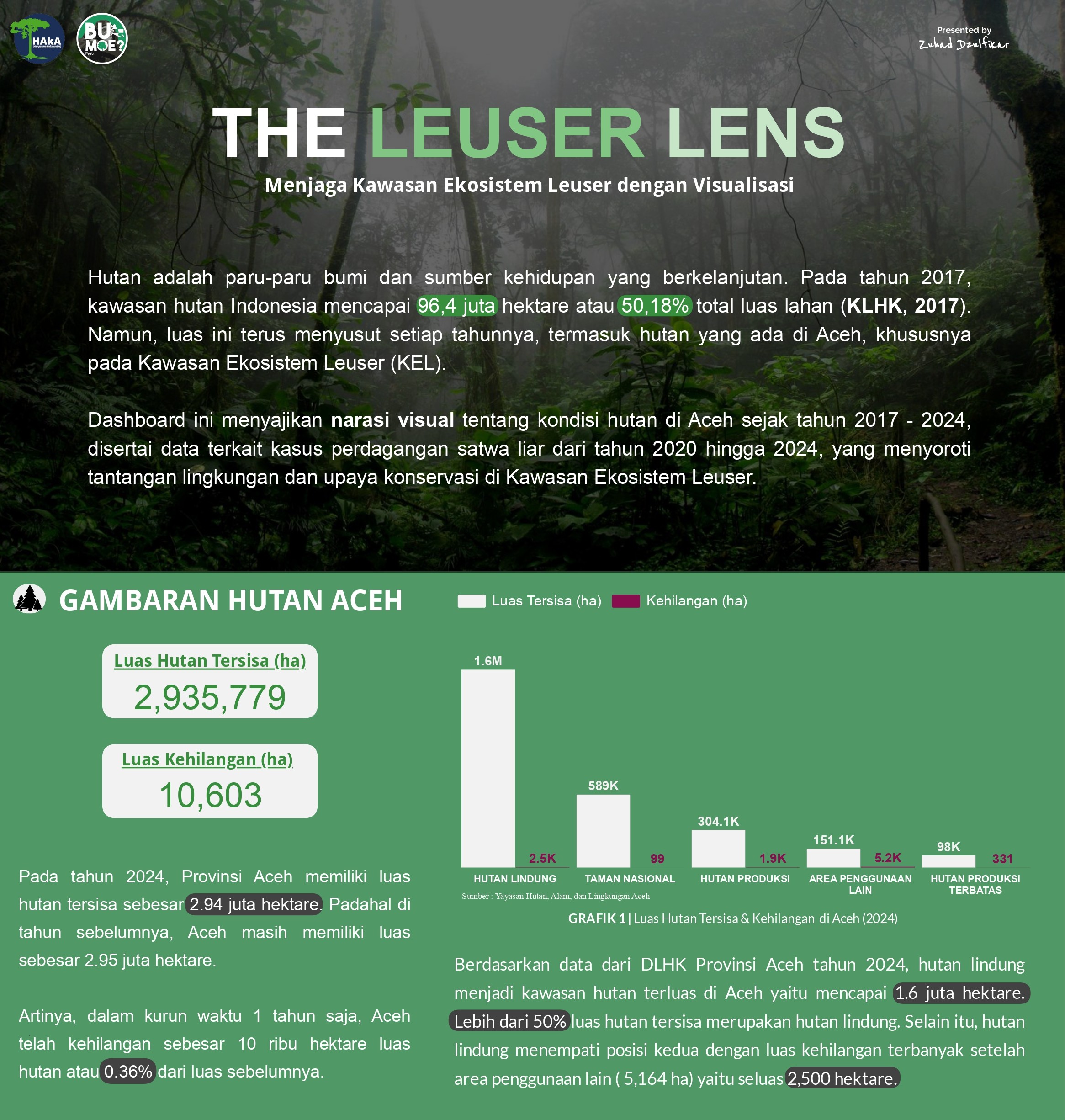 The Leuser Lens overview